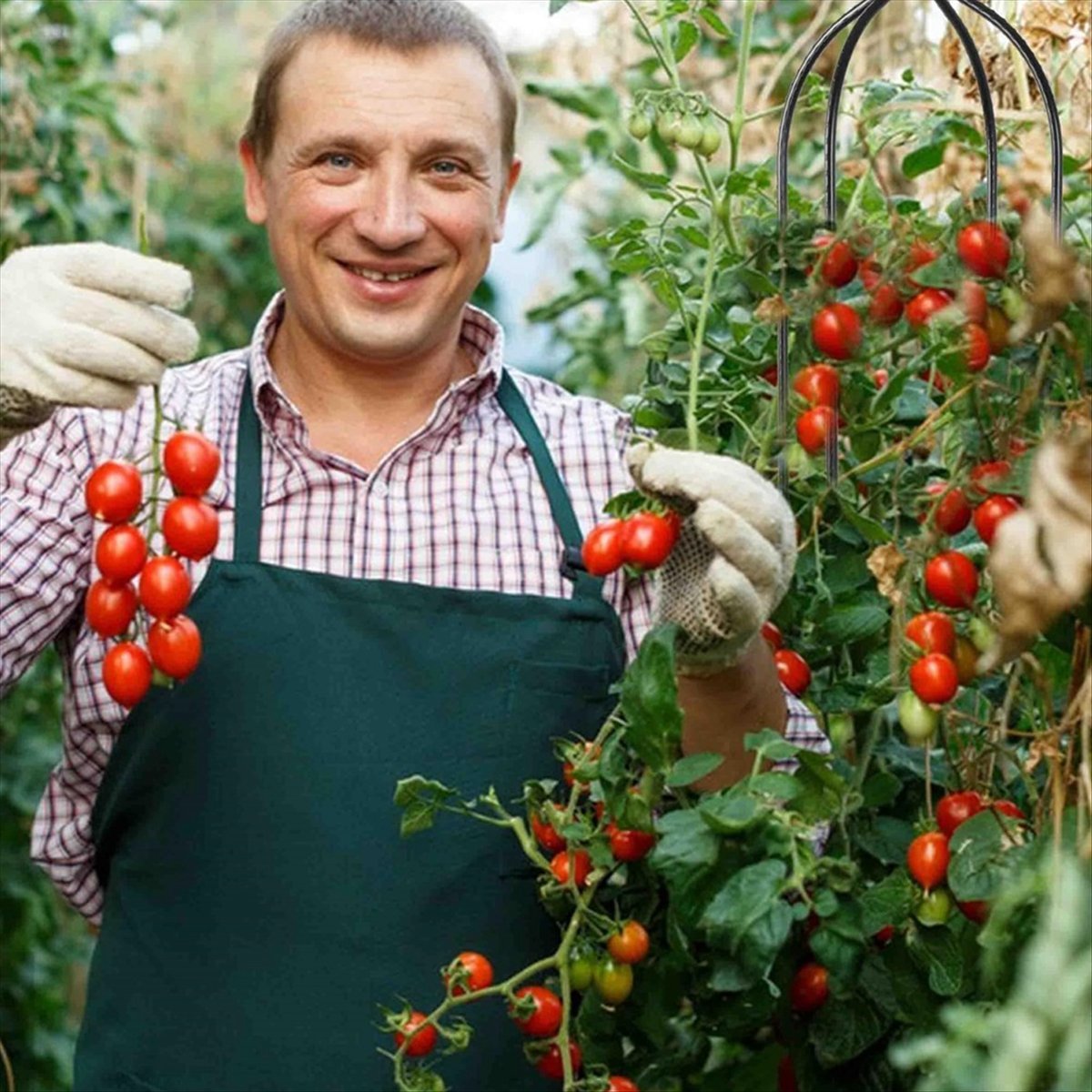Gardening Tools B&M - AT16 Tırmanıcı Bitki Dikme Çardağı, Bahçe