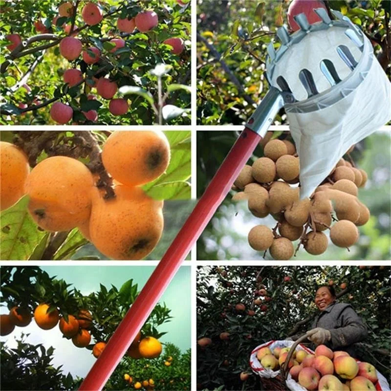 Grow Bags - Çiftlik Meyve Toplayıcı Bahçe Meyve Bahçesi