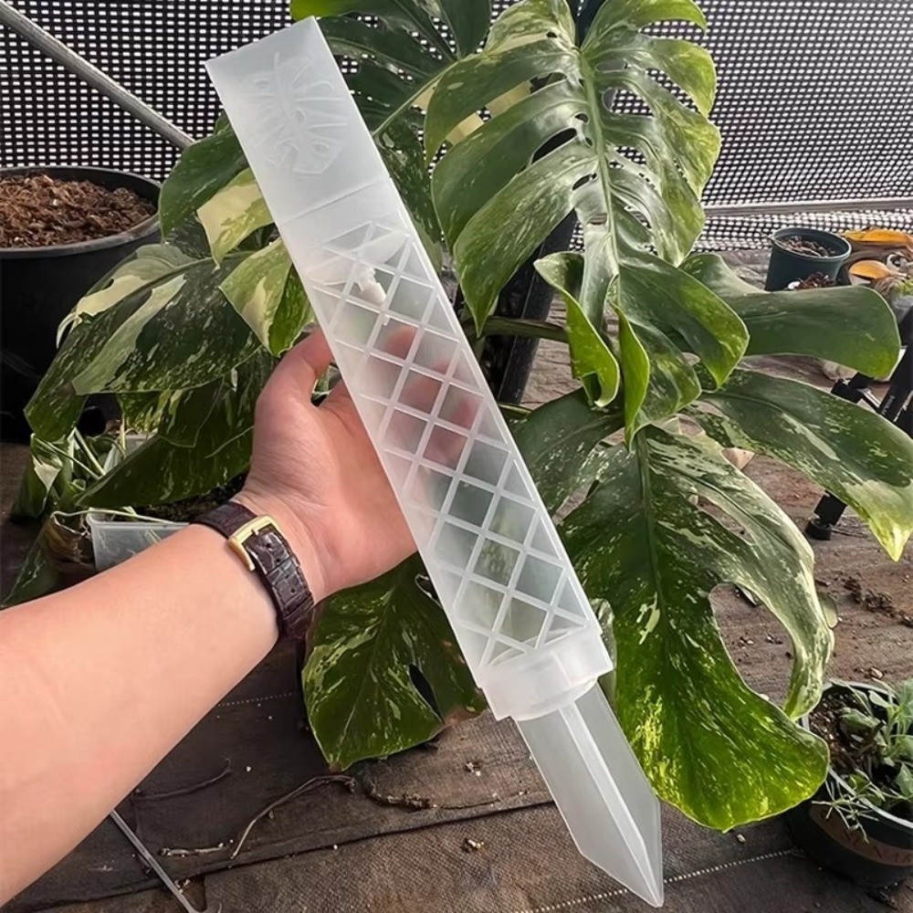 Automatic Plant Waterer - D Şekilli Kendinden Sulanan Bitki Damlatma