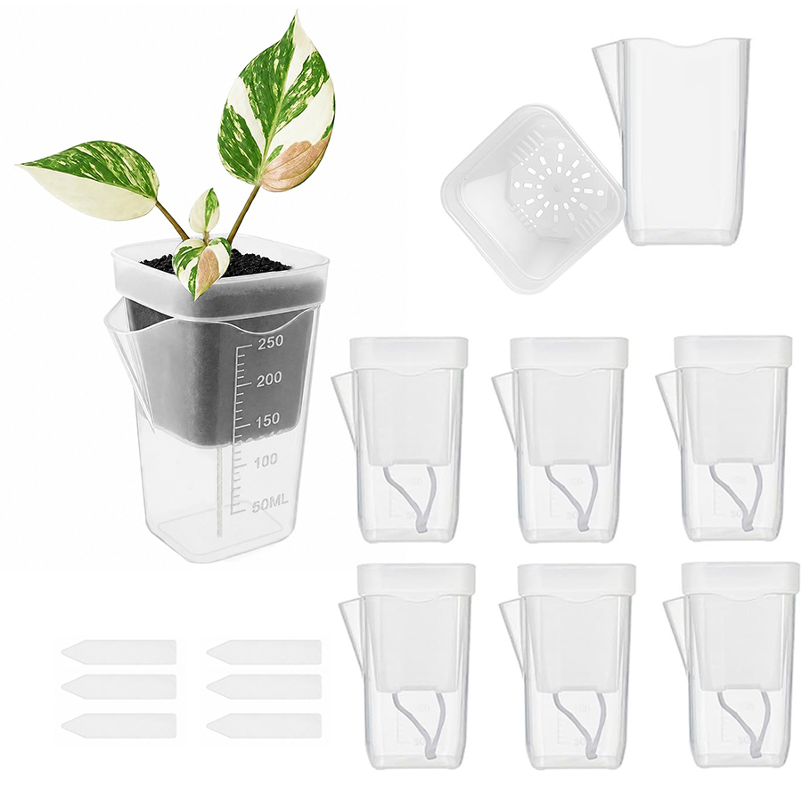 Gardening Tools For Beginners - 12/24 Adet Kendiliğinden Sulanan Sukulent Saksısı