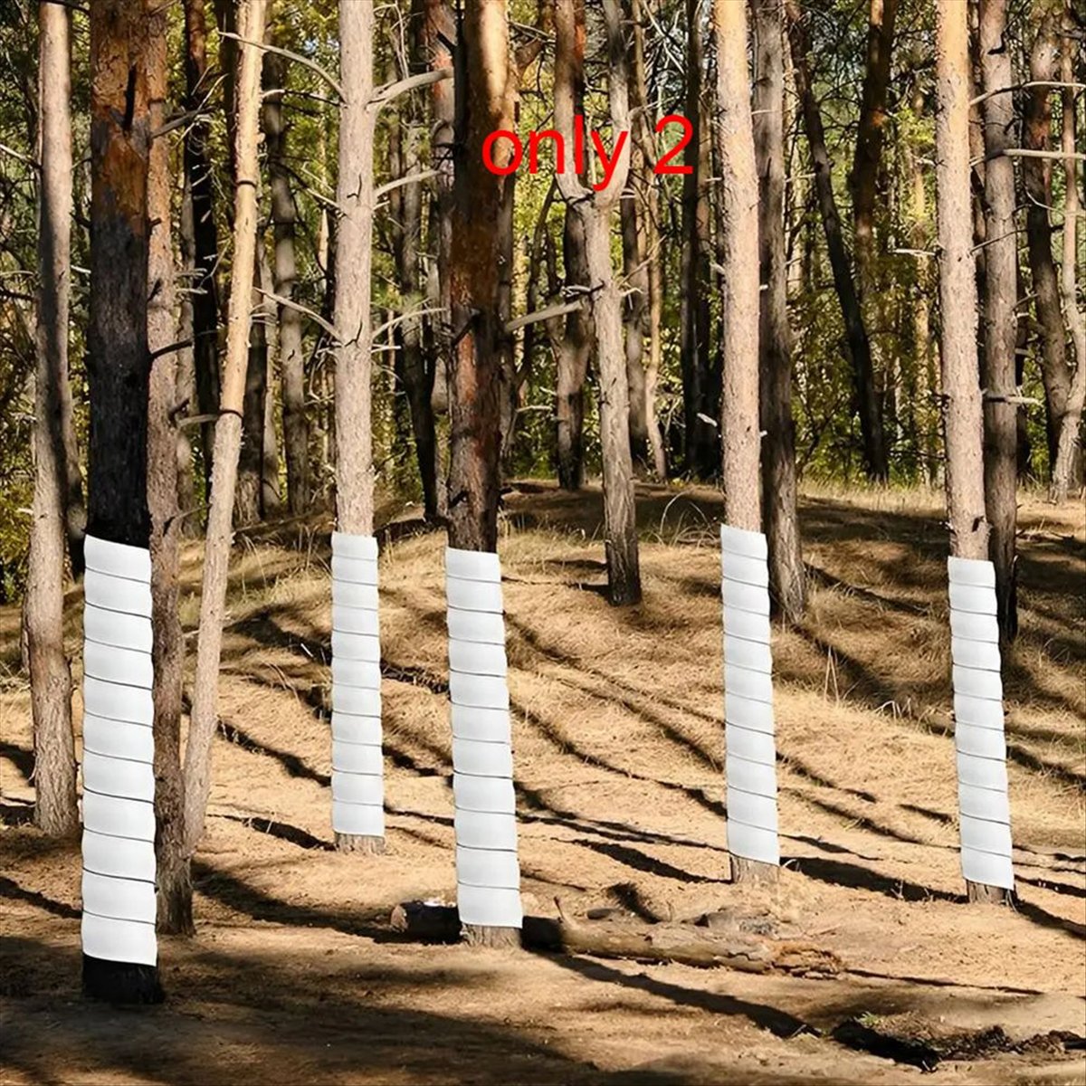 A75K Bitki Gövde Koruyucu Hava - Gardening Tools B&M incelemesi ve fiyatı
