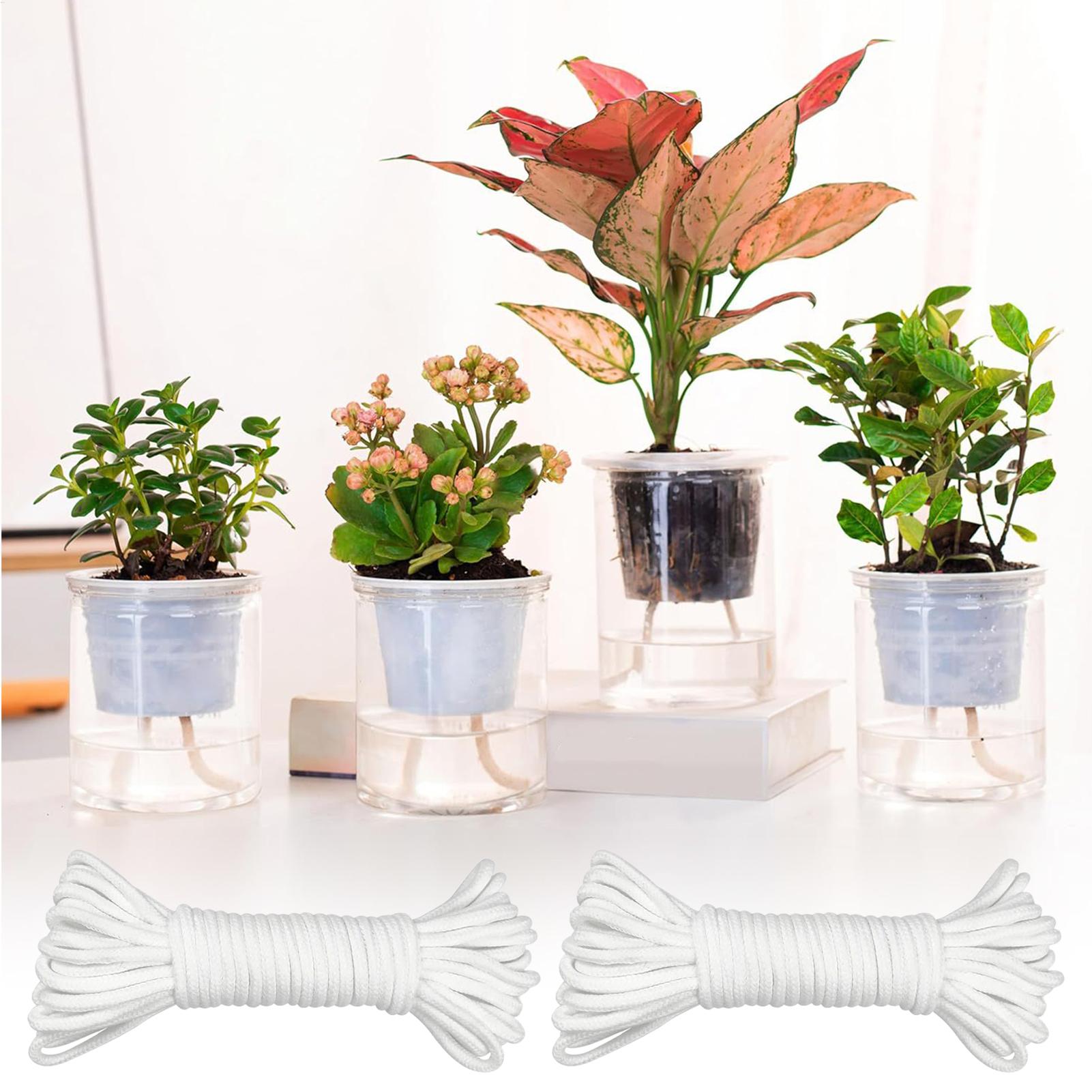 Kendi Kendine Sulamalı Bitki F - Automatic Plant Waterer incelemesi ve fiyatı