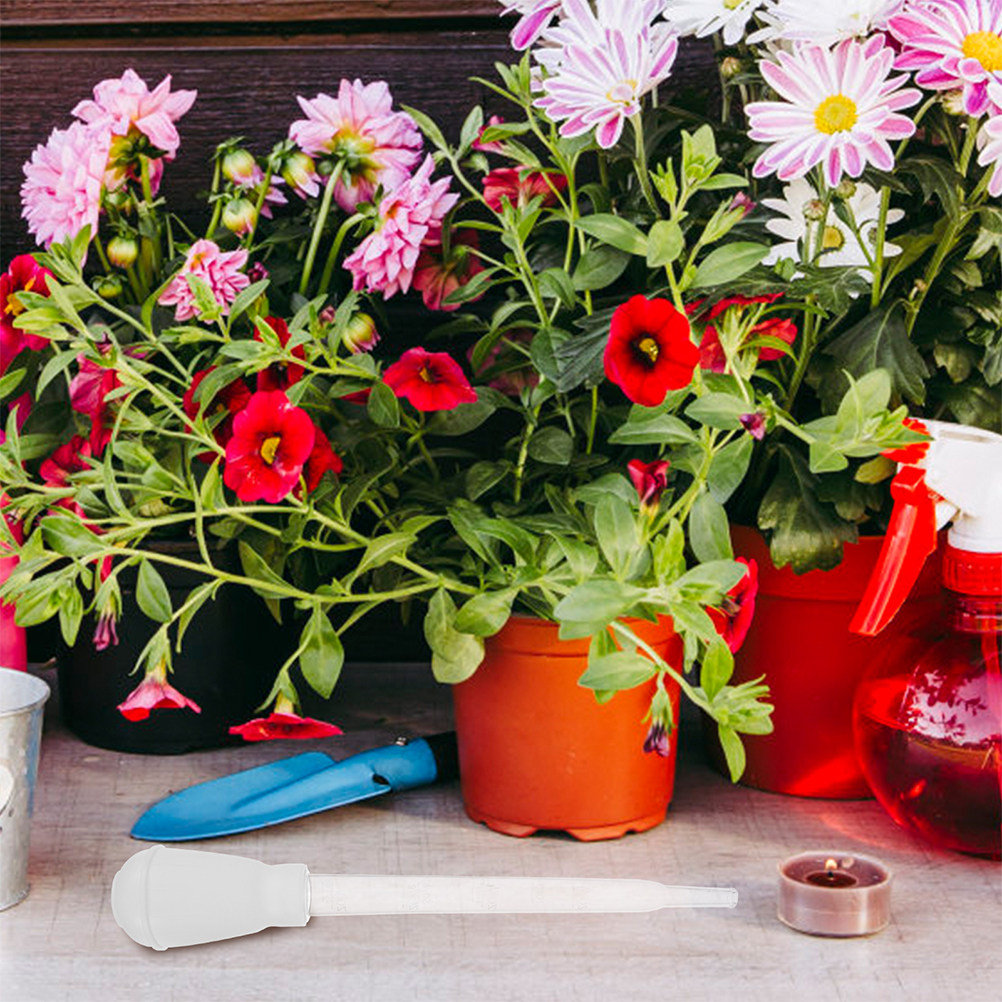 3 Adet Bitki Tabağı Su Emici S - Gardening Tools And Accessories incelemesi ve fiyatı