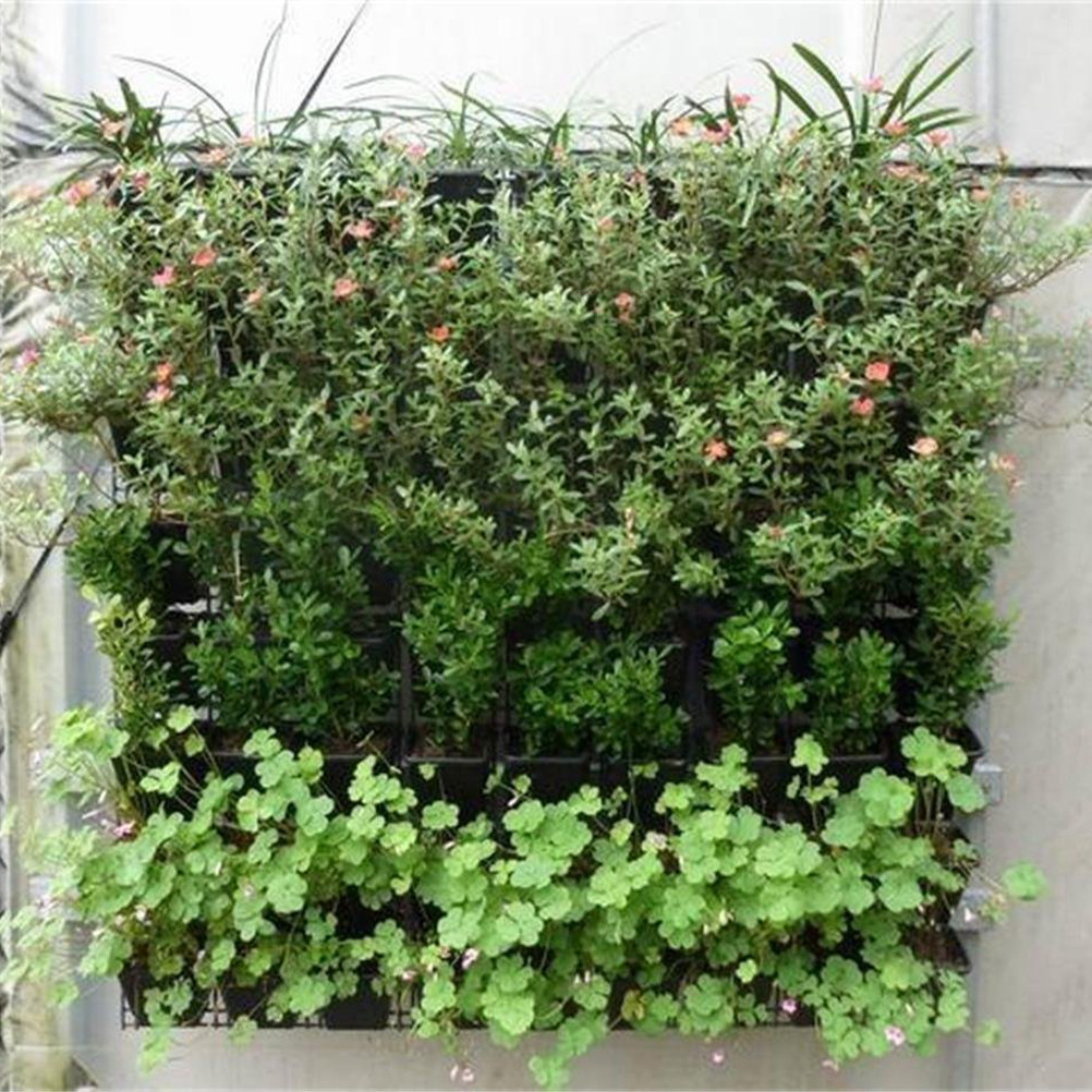 1 Adet Keçe Duvar Askılı Bitki - Grow Bags incelemesi ve fiyatı