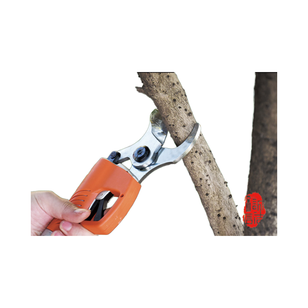 2026 Bahçe Kesme Aleti Akülü B - Gardening Tools To Cut Branches incelemesi ve fiyatı