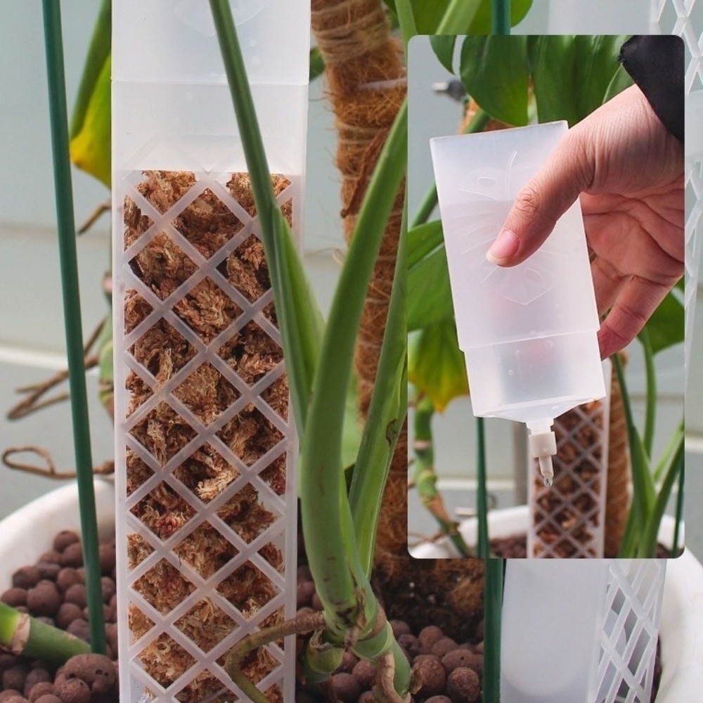 D Şekilli Kendinden Sulanan Bi - Automatic Plant Waterer incelemesi ve fiyatı
