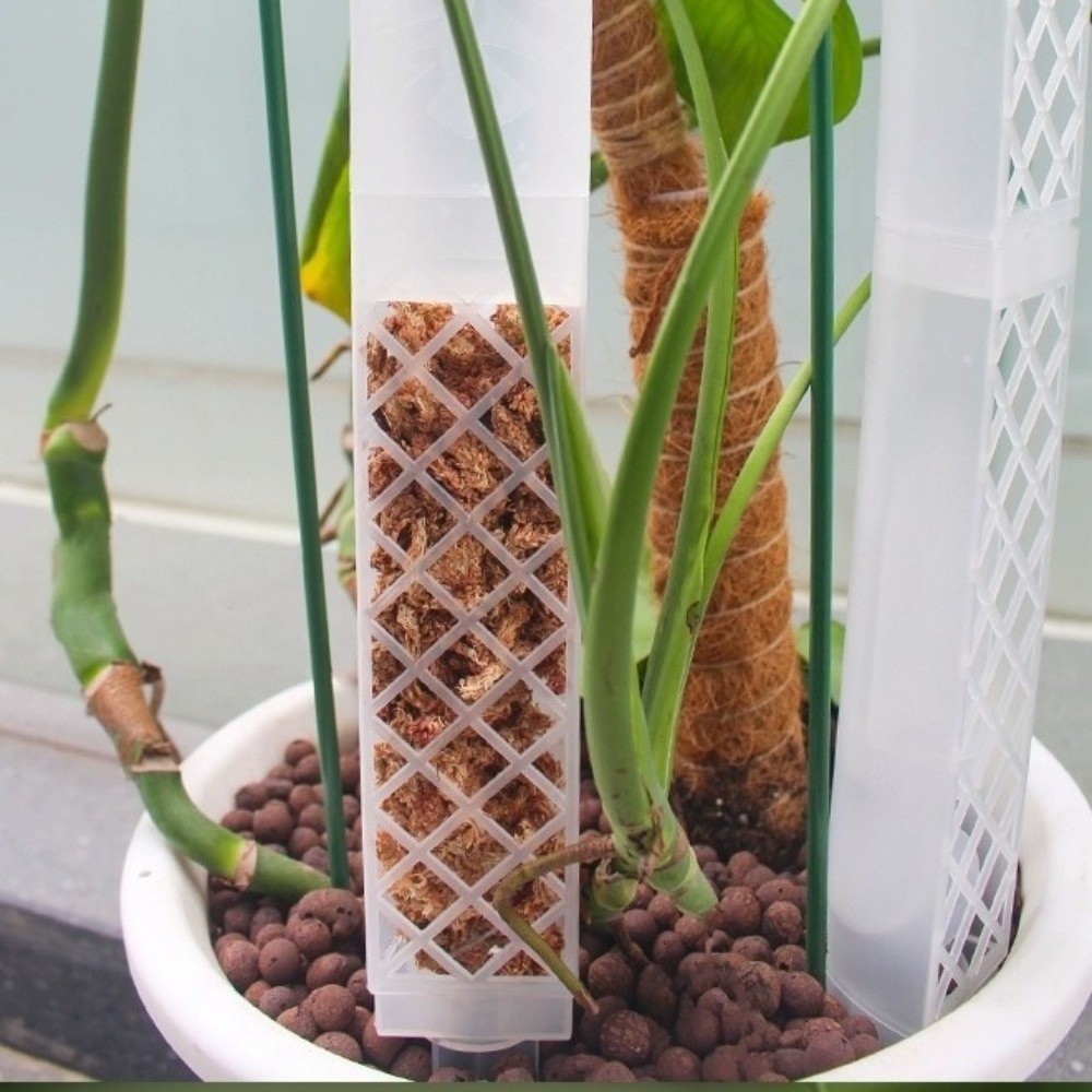 D Şekilli Kendinden Sulanan Bi - Automatic Plant Waterer incelemesi ve fiyatı