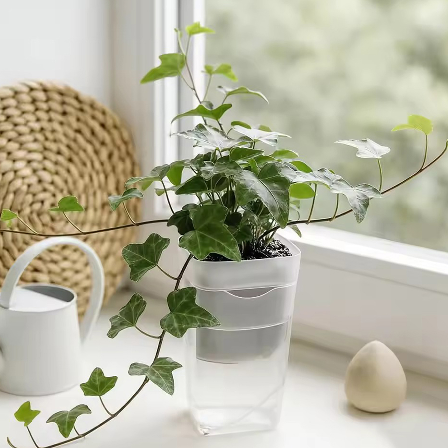 12/24 Adet Kendiliğinden Sulan - Gardening Tools For Beginners incelemesi ve fiyatı