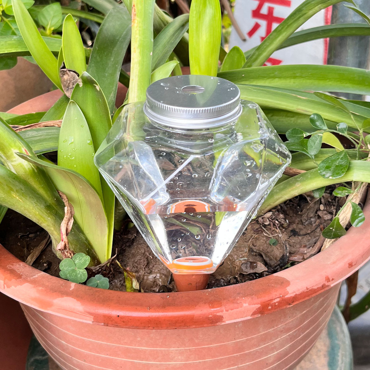 1 adet Sevimli Plastik Sulama  - Automatic Plant Waterer incelemesi ve fiyatı