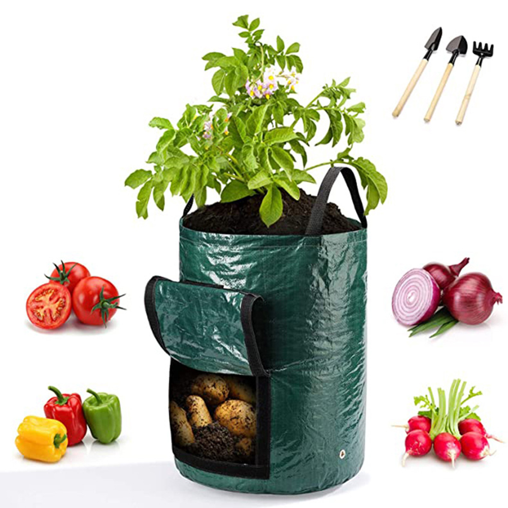 1 adet 10 galonluk sebze bitki - Grow Bags incelemesi ve fiyatı